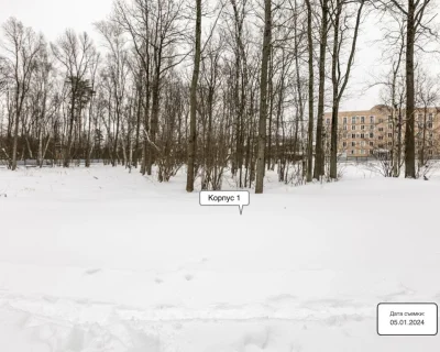 2024 Январь