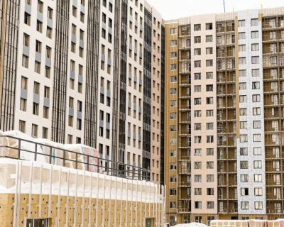 2024 Февраль