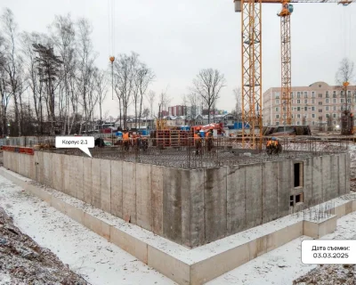 2025 Март