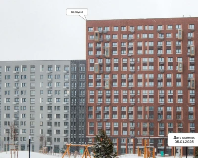 2025 Январь
