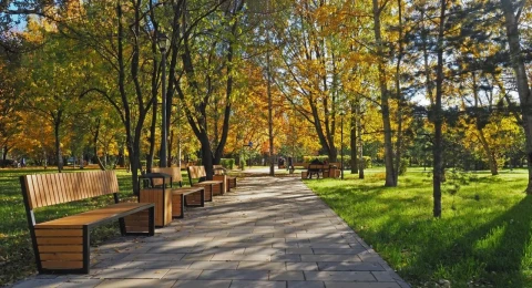 Парки