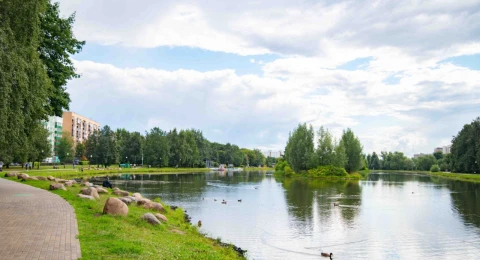 Парки